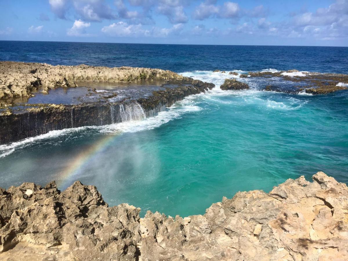 Palmita Hostel Aruba Oranjestad Eksteriør billede